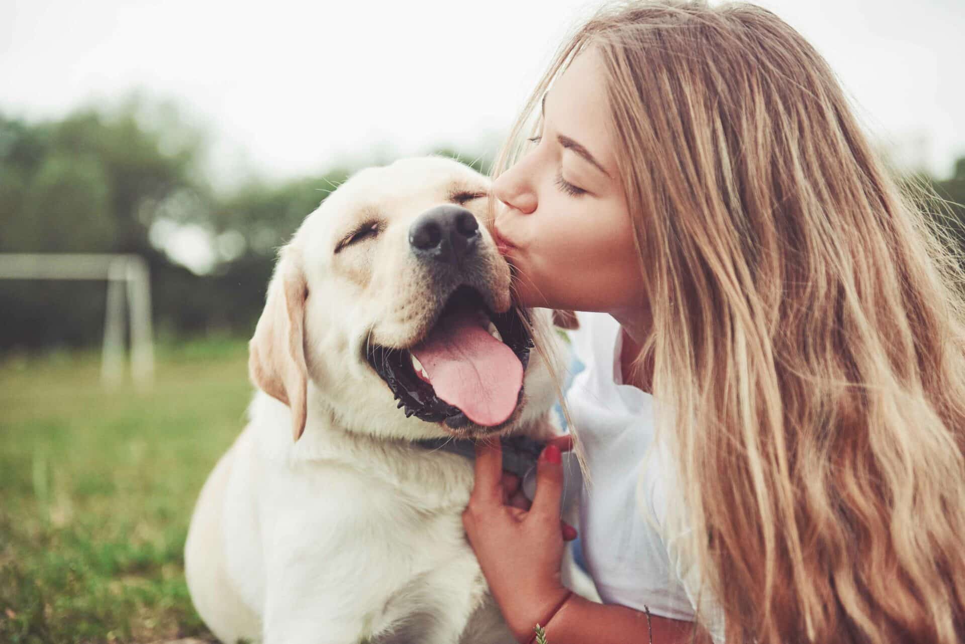 Call Us Today for Affordable, Advanced Pet Dental Care